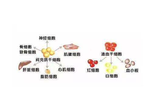 日本<span style=