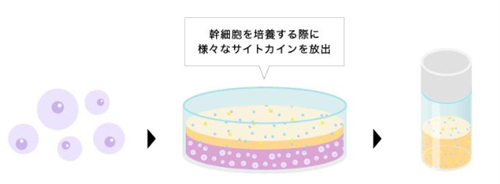 日本上清液成分