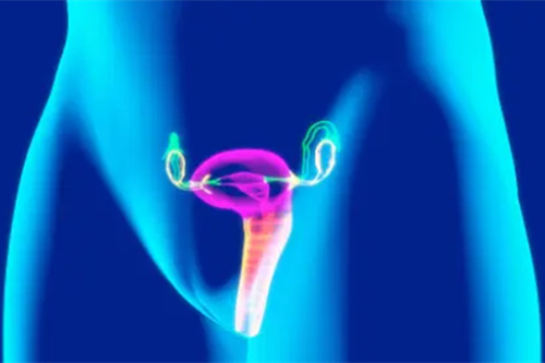 探秘神宫外苑女性生活诊所：用自体经血提取组织，温柔呵护你的卵巢健康
