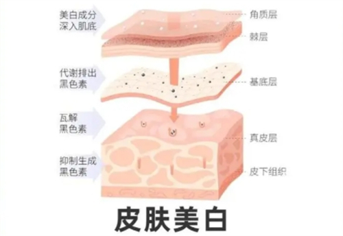 日本圣心美容诊所皮肤美白