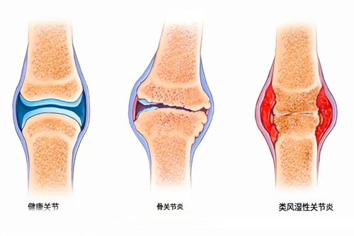 RPT大阪诊所地址在哪？展开介绍医院详细地址、诊疗特色、收费标准及患者口碑
