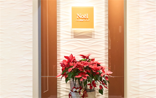 日本Noel诺埃尔银座美容医院LOGO