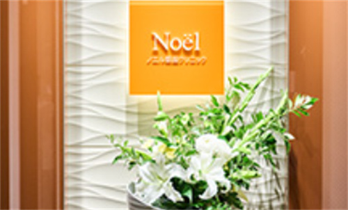 日本Noel诺埃尔银座美容医院logo墙