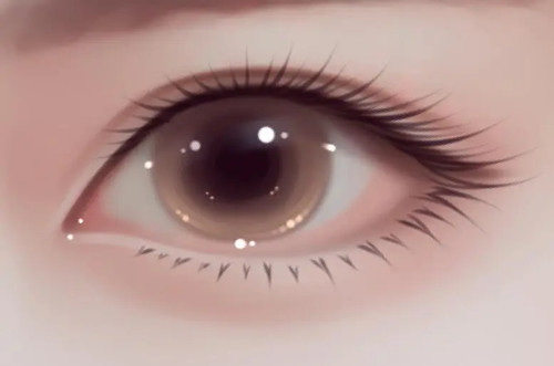 眼综合.webp