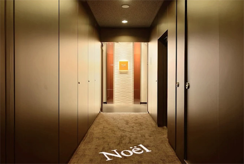 日本Noel诺埃尔银座美容医院